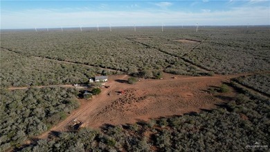 This is a gorgeous example of a South Texas virgin brush ranch - photo 4