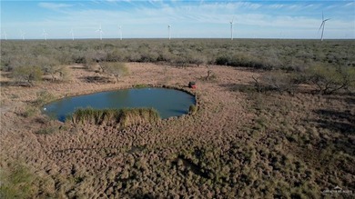 This is a gorgeous example of a South Texas virgin brush ranch - photo 5