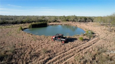 This is a gorgeous example of a South Texas virgin brush ranch - photo 6