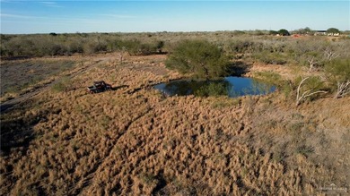 This is a gorgeous example of a South Texas virgin brush ranch - photo 7