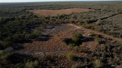 This is a gorgeous example of a South Texas virgin brush ranch - photo 8