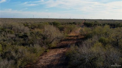 This is a gorgeous example of a South Texas virgin brush ranch - photo 10