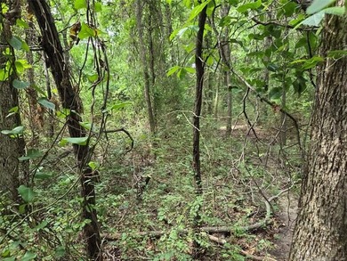 Escape the hustle and discover Mother Nature at her finest with - photo 5