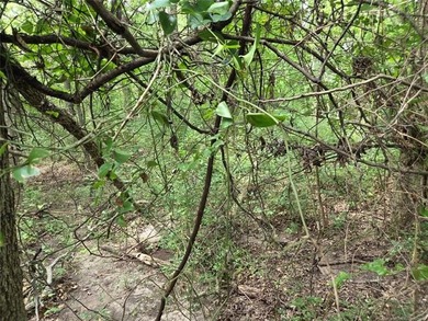 Escape the hustle and discover Mother Nature at her finest with - photo 6