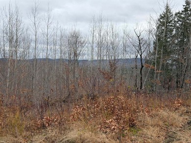 43 Acres of Pristine Maine Wilderness - Pond Road, Abbot, ME - photo 11