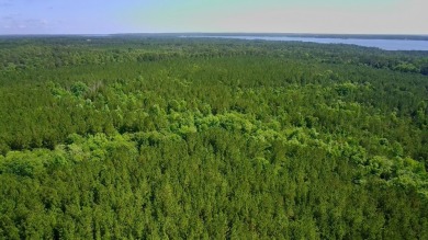 Lake Acreage For Sale in Abbeville, Alabama