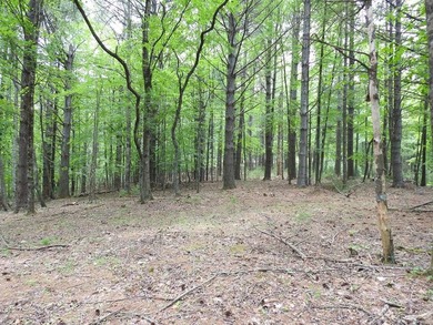 2 1/2 ACRES - READY TO BUILD! Near Blue Ridge Parkway - photo 11