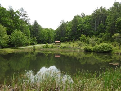 2 1/2 ACRES - READY TO BUILD! Near Blue Ridge Parkway - photo 13