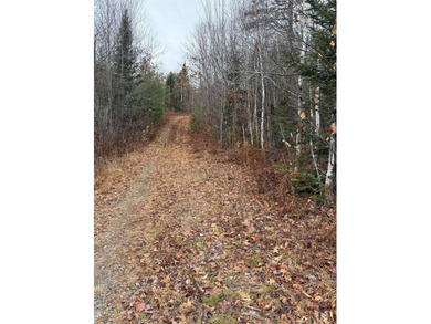 43 Acres of Pristine Maine Wilderness - Pond Road, Abbot, ME - photo 15