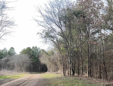 Lake Acreage For Sale in Troup, Texas