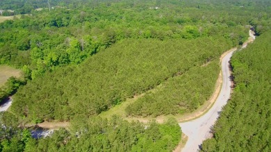 Lake Acreage For Sale in Abbeville, Alabama