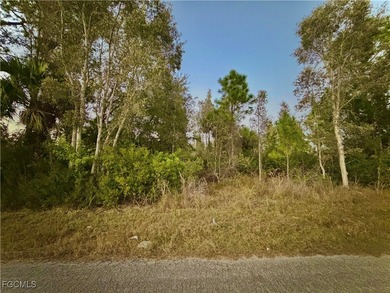 Lehigh Acres Area Lot For Sale in Lehigh Acres Florida