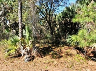 Vacant land rarely has an address or lot number posted. There - photo 2