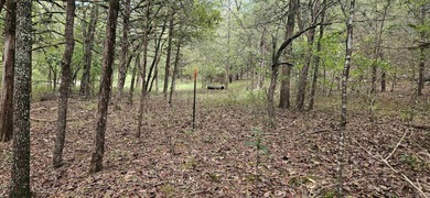 White River Acreage For Sale in Mountain Home Arkansas