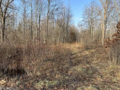 Lake Michigan - Allegan County Acreage For Sale in Pullman Michigan