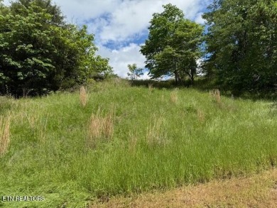 Lake Lot For Sale in Tazewell, Tennessee