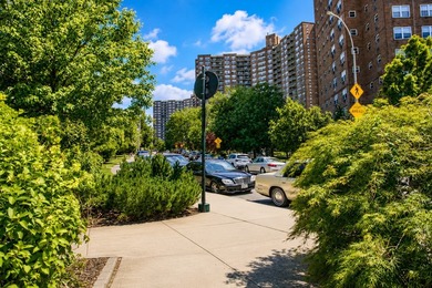 Welcome to Apartment 3F at 5800 Arlington Avenue, a bright and - photo 7