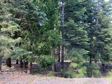 Great Lot in Lake Almanor West. Build your dream home of this 1 - photo 1