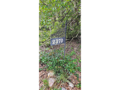 Lake Home For Sale in Summerton, South Carolina