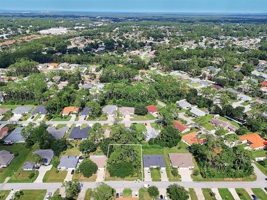 The beach is certainly within reach on this new lot listing! - photo 12