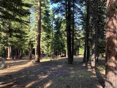 Great Lot in Lake Almanor West. Build your dream home of this 1 - photo 2
