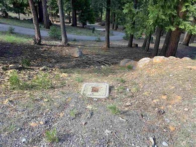 Great Lot in Lake Almanor West. Build your dream home of this 1 - photo 3
