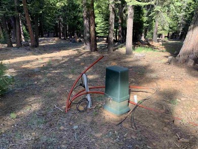 Great Lot in Lake Almanor West. Build your dream home of this 1 - photo 4