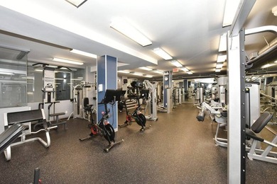 Mid floor, all new, south facing large 1 bedroom unit with - photo 15