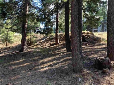 Great Lot in Lake Almanor West. Build your dream home of this 1 - photo 5
