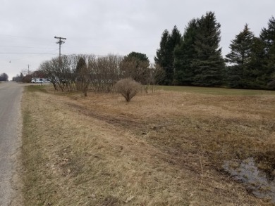 Hackert Lake Lot For Sale in Scottville Michigan