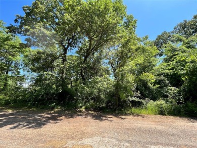 Cedar Creek Lake Lot For Sale in Payne Springs Texas