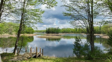 Lake Home For Sale in Sarona, Wisconsin