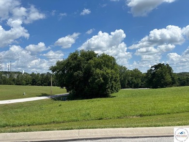 Elm St lot: 7 & 8 - photo 5
