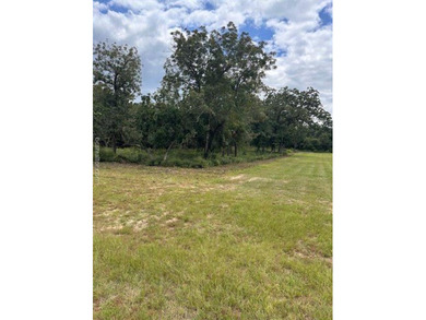 Lake Tonkawa Lot For Sale in Hilltop Lakes Texas