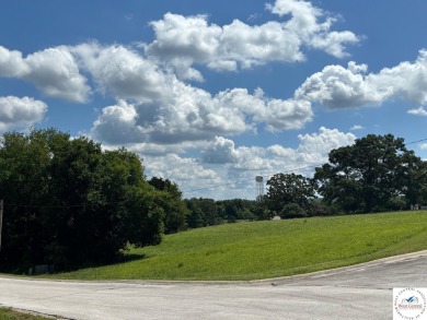 Lake Lot For Sale in Warsaw, Missouri