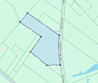 Lake Marion Acreage For Sale in Elloree South Carolina