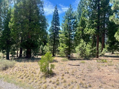 WHERE THE PINES MEET LUXURY LIVING! Discover the perfect setting - photo 1