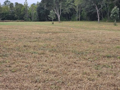 Welcome to this amazing opportunity. Over 10 acres of land with - photo 4