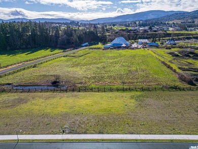 Welcome to Willow Creek Manor, a premier homesite in the heart - photo 4