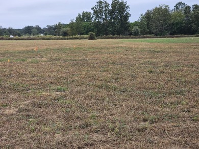 Welcome to this amazing opportunity. Over 10 acres of land with - photo 5