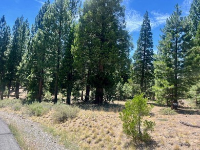 WHERE THE PINES MEET LUXURY LIVING! Discover the perfect setting - photo 5