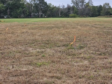 Welcome to this amazing opportunity. Over 10 acres of land with - photo 6
