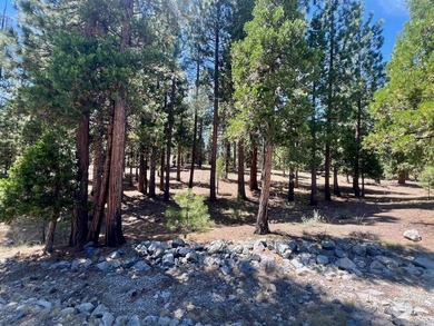 WHERE THE PINES MEET LUXURY LIVING! Discover the perfect setting - photo 6