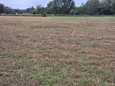 Welcome to this amazing opportunity. Over 10 acres of land with - photo 8