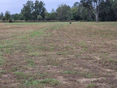 Welcome to this amazing opportunity. Over 10 acres of land with - photo 9