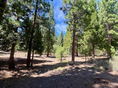 WHERE THE PINES MEET LUXURY LIVING! Discover the perfect setting - photo 9