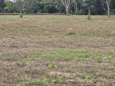 Welcome to this amazing opportunity. Over 10 acres of land with - photo 10