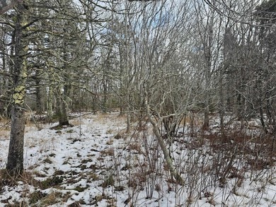 Available acreage in Lower Saulnierville, consisting of 10.34 - photo 8