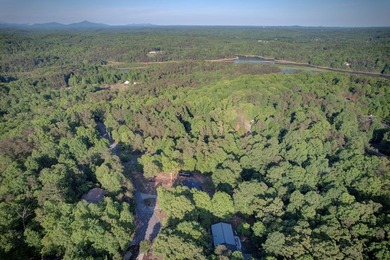 Welcome to your *Dahlonega Delight*! - a beautifully maintained - photo 39