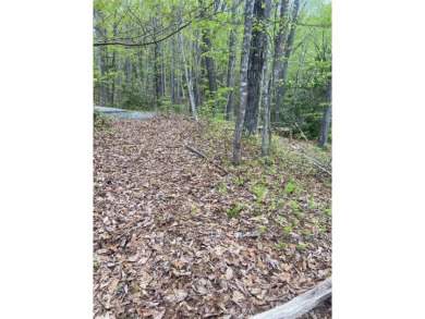 Hogback Lake Lot For Sale in Sapphire North Carolina